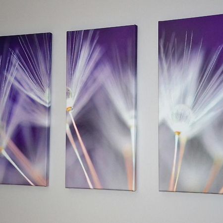 Apartamenty Krawiecka Zielona Gora  Bagian luar foto